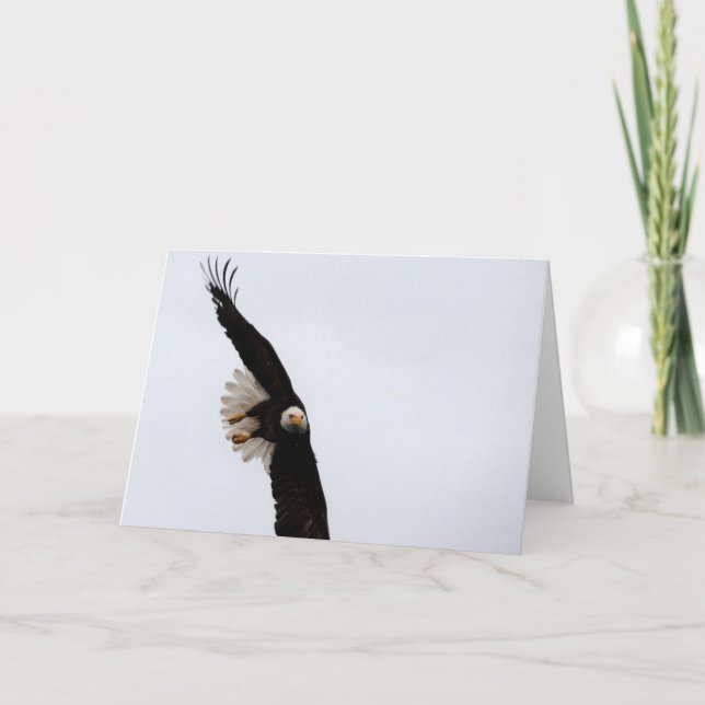 Xmas Card: Here comes Santa Claws... Holiday Card (Front)