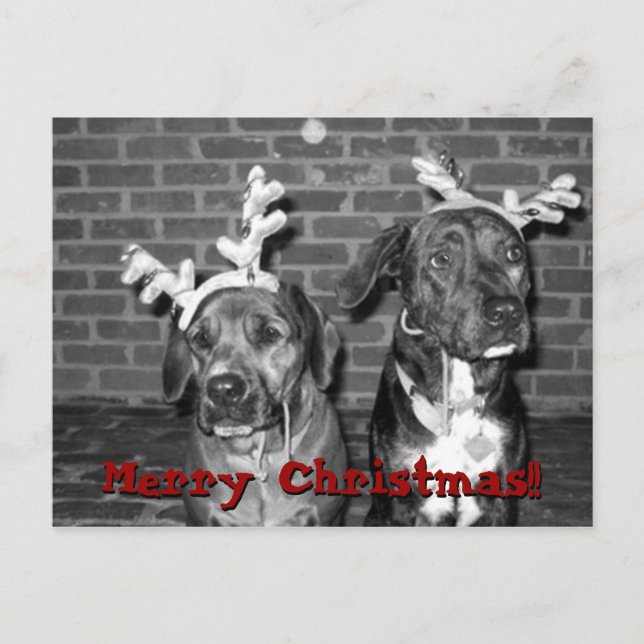 xmas card recrop recontrast, Merry Christmas!!,... (Front)