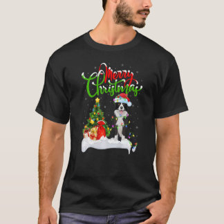 Xmas Decorations Santa Collie Dog Christmas T-Shirt