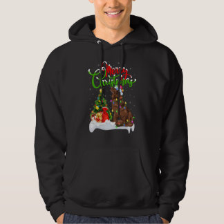 Xmas Decorations Santa Newfoundland Dog Christmas Hoodie