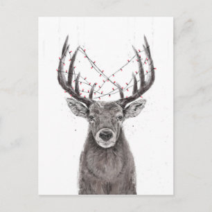 Xmas deer postcard