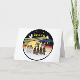 Xmas Dove - Two Tabby Cats Holiday Card