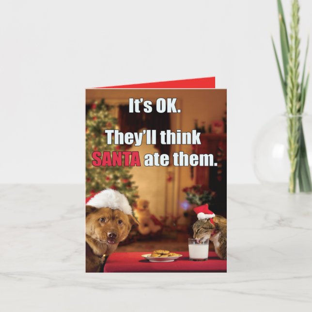 Xmas Funny Cat and Dog - Think Santa Ate Them Holiday Card (Front)