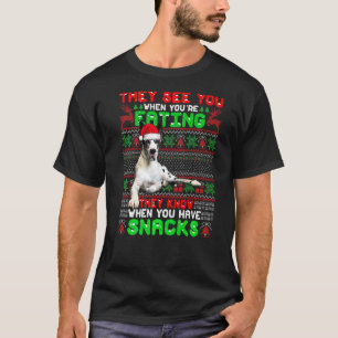 Xmas Great Dane Santa They See You When You're Eat T-Shirt