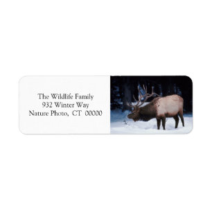 Xmas Greeting Cards Return Address Labels
