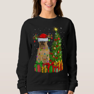 Xmas Holiday Light Santa Brussels Griffon Dog Chri Sweatshirt