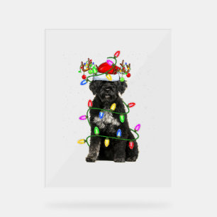 Xmas Holiday Lighting Santa Portuguese Water Dog C Acrylic Sign