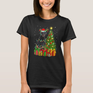 Xmas Holiday Lights Santa Rottweiler Dog Christmas T-Shirt