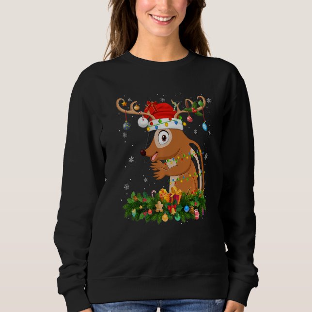 Xmas Holiday Reindeer Hat Santa Chipmunk Christmas Sweatshirt (Front)