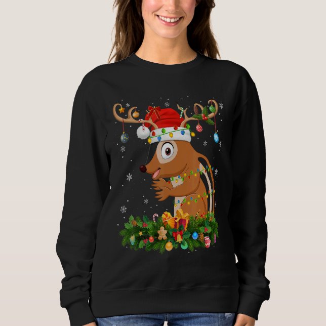 Xmas Holiday Reindeer Hat Santa Chipmunk Christmas Sweatshirt (Front)