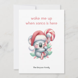 Xmas koala taking a nap  holiday card