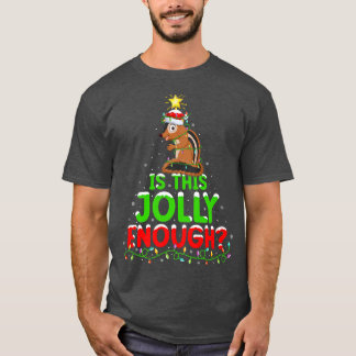 Xmas Lighting Is This Jolly Enough Chipmunk Christ T-Shirt