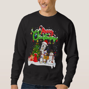 Xmas Lighting Matching Santa Bearded Collie Dog We Sweatshirt