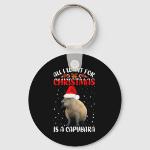 Xmas Lighting Santa All I Want For Christmas Is A  Key Ring