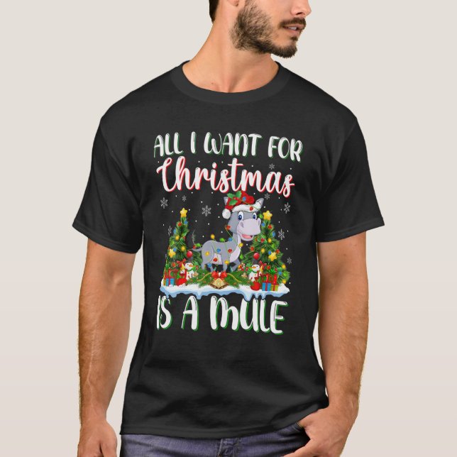 Xmas Lighting Santa All I Want For Christmas Is A T-Shirt (Front)