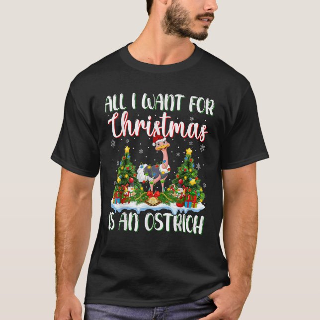 Xmas Lighting Santa All I Want For Christmas Is A  T-Shirt (Front)