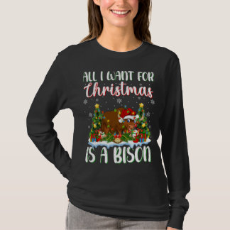 Xmas Lighting Santa All I Want For Christmas Is A T-Shirt