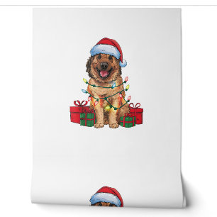 Xmas Lighting Santa Hat Anatolian Shepherd Dog Chr Wallpaper