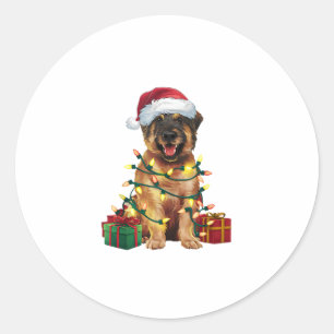 Xmas Lighting Santa Hat Leonberger Dog Christmas _ Classic Round Sticker