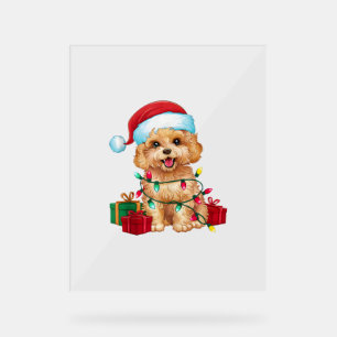 Xmas Lighting Santa Hat Maltipoo Dog Christmas Acrylic Sign