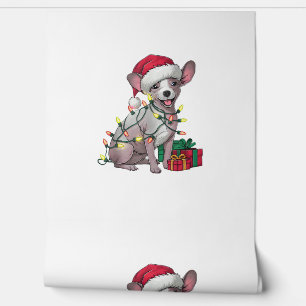 Xmas Lighting Santa Hat Mexican Hairless Dogs Chri Wallpaper