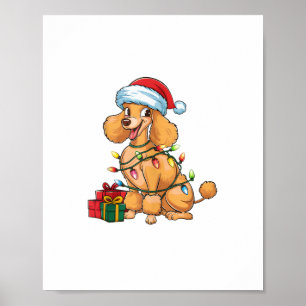 Xmas Lighting Santa Hat Poodle Dog Christmas _1 Poster
