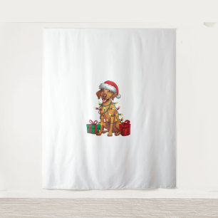 Xmas Lighting Santa Hat Rhodesian Ridgeback Dog Ch Tapestry