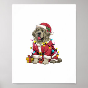 Xmas Lighting Santa Newfoundland Dog Christmas  Poster