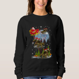 Xmas Lighting Tree Santa Riding Komodo Dragon Chri Sweatshirt