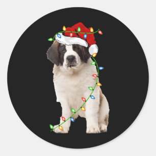 Xmas Lights Santa Hat Saint Bernard Dog Christmas Classic Round Sticker