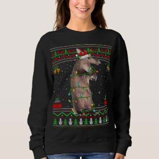 Xmas Lights Ugly Sweater Style Santa Aardvark Chri