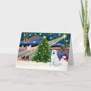 Xmas Magic-Akita White1 Holiday Card