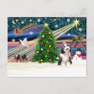 Xmas Magic-Beardie4 Holiday Postcard