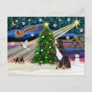 Xmas Magic-Bernese Mountain Dog Holiday Postcard