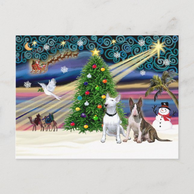 Xmas Magic-Bull Terrier Pair Holiday Postcard (Front)
