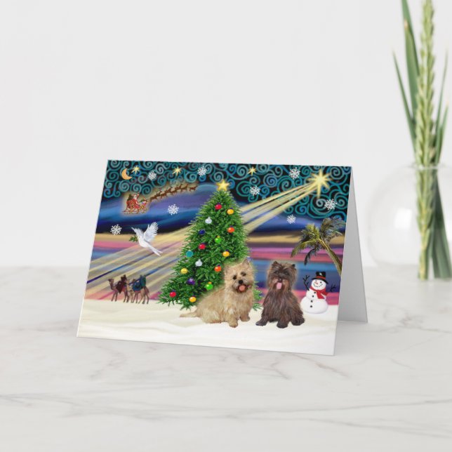 Xmas Magic-Cairn Pair-wheatn+brindle Holiday Card (Front)