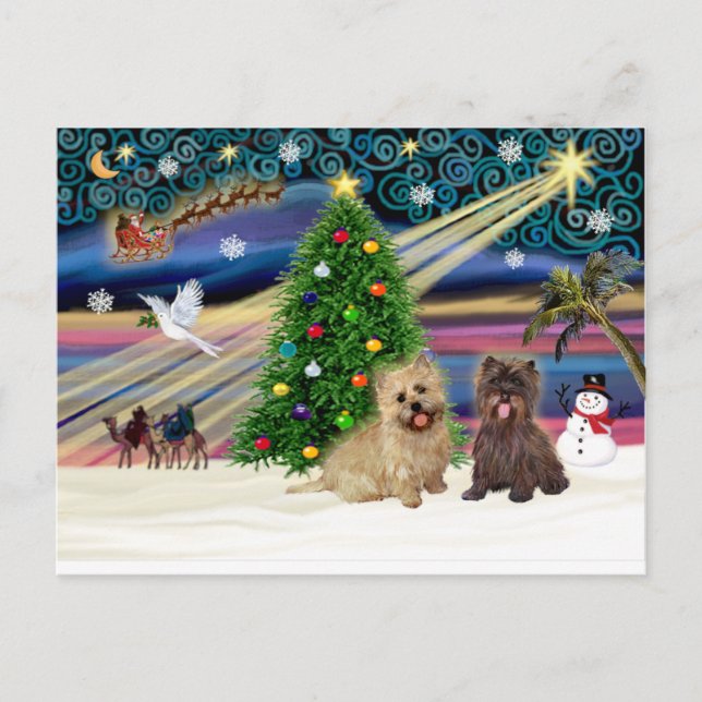 Xmas Magic-Cairn Pair-wheatn+brindle Holiday Postcard (Front)