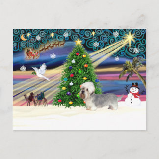 Xmas Magic-Dandi Dinmont grey Holiday Postcard