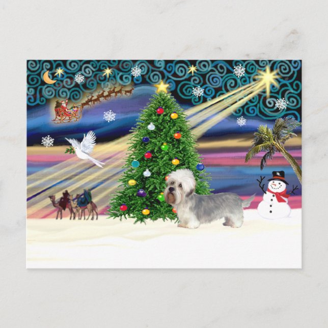 Xmas Magic-Dandi Dinmont grey Holiday Postcard (Front)