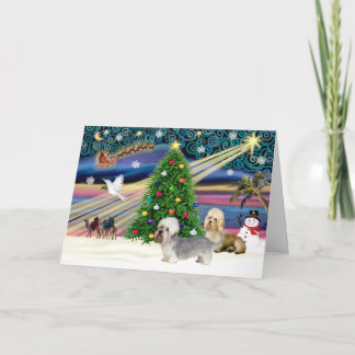 Xmas Magic-Dandie Dinmont Pair Holiday Card