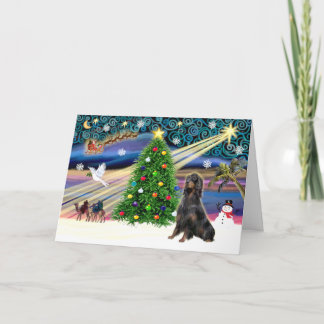 Xmas Magic-Gordon Setter Holiday Card