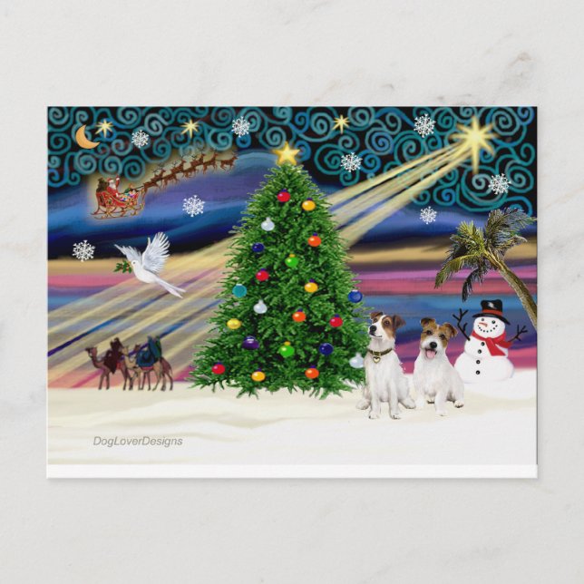 Xmas Magic-Jack Russell Pair2 Holiday Postcard (Front)