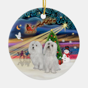 Xmas Magic - Maltese (TWO) Ceramic Tree Decoration