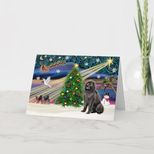 Xmas Magic-Newfie blksit Holiday Card (Front)