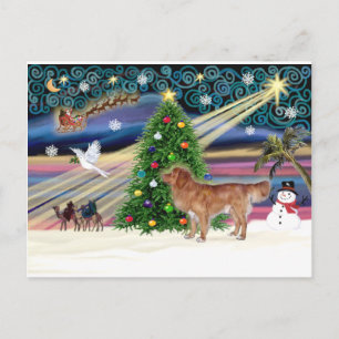 Xmas Magic-NovaScotia-stand Holiday Postcard