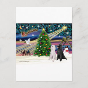 XMAS MAGIC-Poodle ST-Pair2 Holiday Postcard