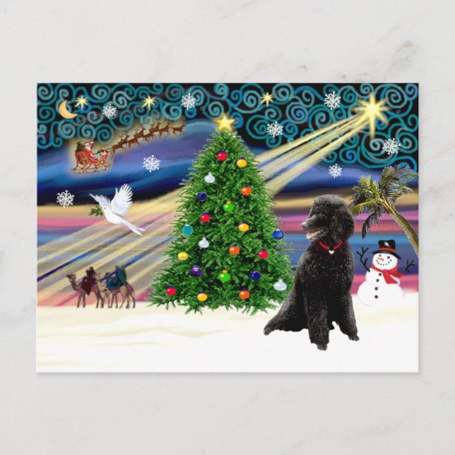 Xmas Magic-Poodle-Std-black Holiday Postcard (Front)