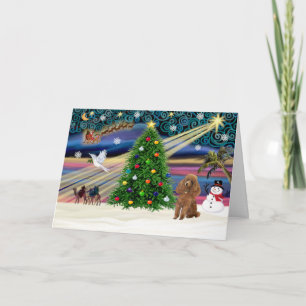 Xmas Magic-Poodle-Toy-Apricot Holiday Card