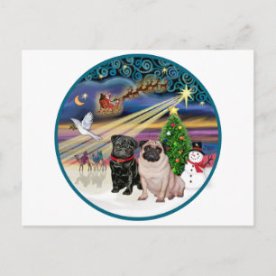 Xmas Magic (R) - Two Pugs (F + B) Holiday Postcard