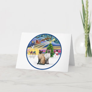 Xmas Magic (R) - Two Siamese cats Holiday Card